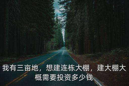 安徽連棟大棚骨架多少錢,建大棚大概需要投資多少錢