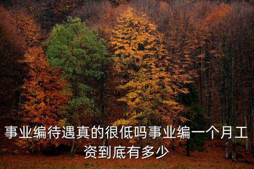 蕪湖事業編工資多少,事業編一個月工資到底有多少