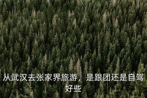 從武漢去張家界旅游，是跟團還是自駕好些