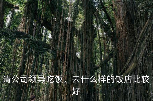請(qǐng)公司領(lǐng)導(dǎo)吃飯，去什么樣的飯店比較好