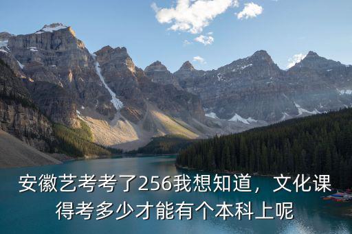安徽聯考270文化課多少本科,安徽美術統考成績272分