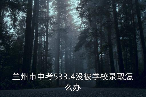 沒被湖北民辦初中錄取怎么辦,幼升小民辦不錄取怎么辦