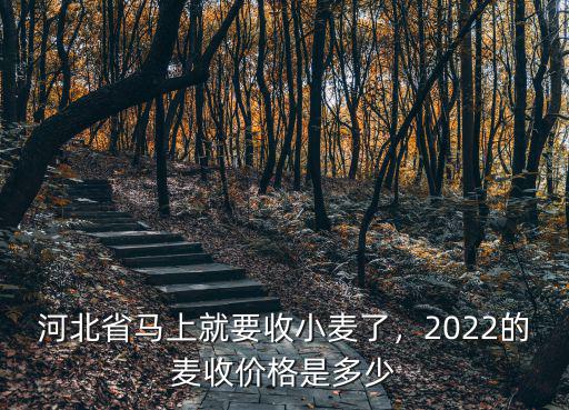 河北省馬上就要收小麥了，2022的麥收價格是多少