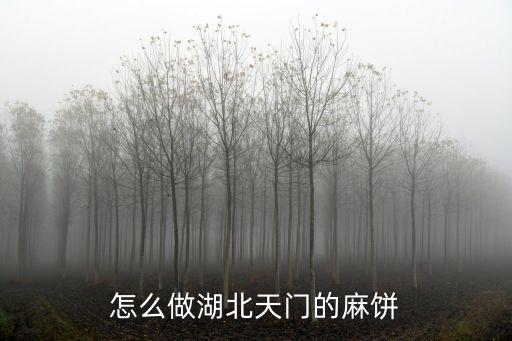 湖北天門(mén)是怎么過(guò)年的,怎么做湖北天門(mén)的麻餅