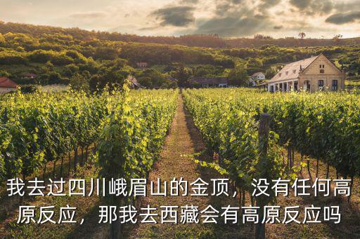 四川景點哪里會有高原反應,那我去西藏會有高原反應嗎