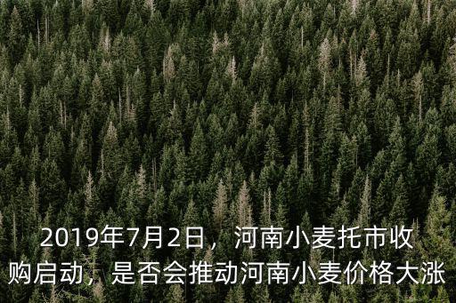 河南哪里收購黑小麥,河南小麥托市收購啟動
