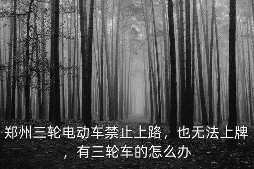 鄭州電動(dòng)三輪車查住之后怎么處理,有三輪車的怎么辦