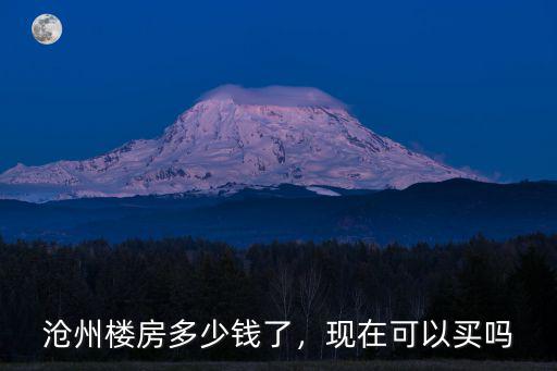 滄州首富一套房子多少錢,滄州樓房多少錢了