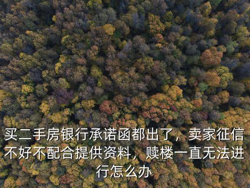 買二手房銀行承諾函都出了，賣家征信不好不配合提供資料，贖樓一直無法進(jìn)行怎么辦