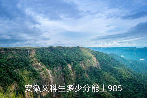 安徽文科生考安大要多少分,安徽文科生多少分能上985