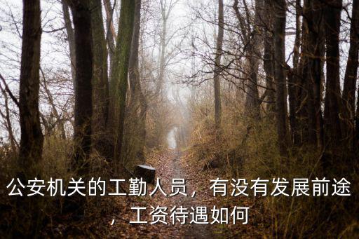 公安機關的工勤人員，有沒有發展前途，工資待遇如何