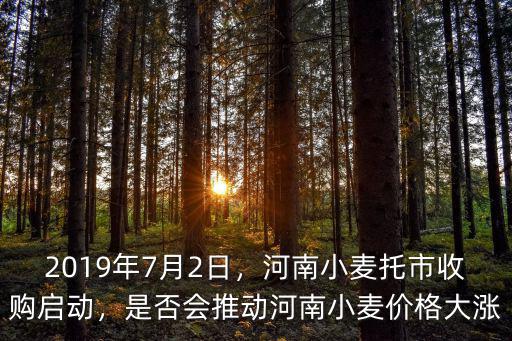 2019年7月2日，河南小麥托市收購啟動，是否會推動河南小麥價格大漲