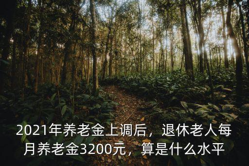 2021年養老金上調后，退休老人每月養老金3200元，算是什么水平