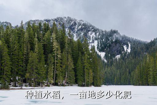 一畝田稻谷用多少斤復合肥,水稻施穗肥一畝地多少斤