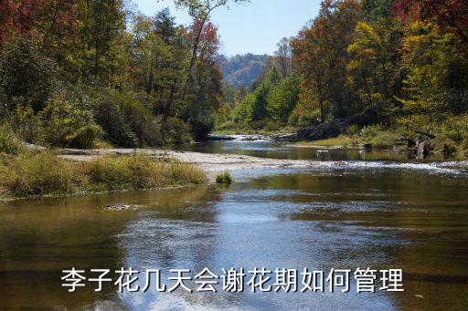 南充李子花哪里多,李子花幾天會謝