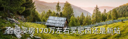 合肥買(mǎi)房170萬(wàn)左右買(mǎi)肥西還是新站