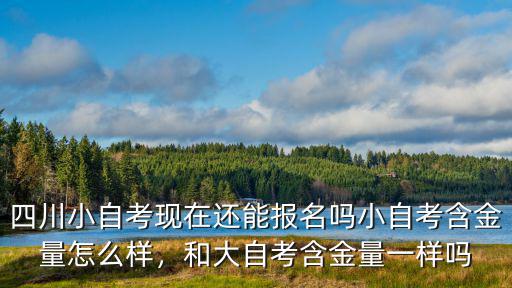 四川小自考校考是在哪里考試,四川小自考含金量高嗎