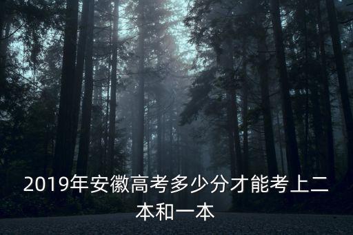2019年預計安徽文綜二本要多少分,安徽2019年文科考生