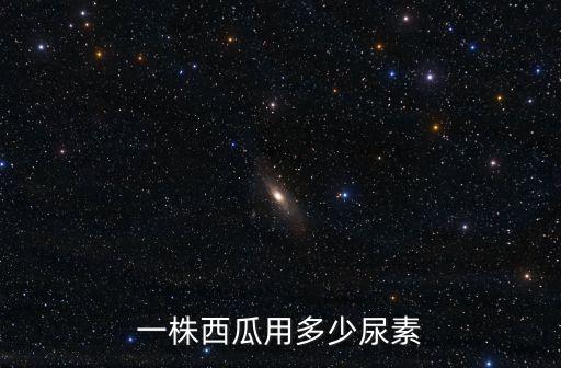 一株西瓜用多少尿素