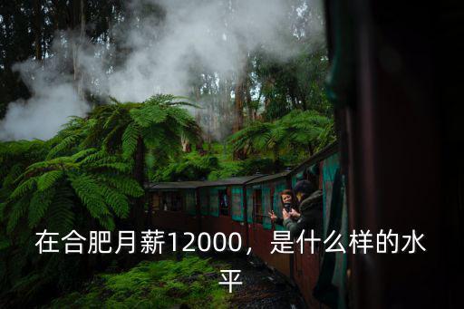 合肥12000月薪到手多少,在合肥月薪12000