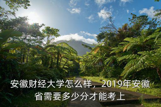 晉江到安徽財經大學多少公里,如何評價安徽財經大學