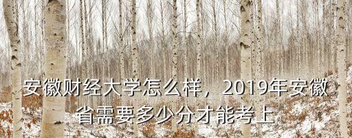 安徽財經大學要多少分上,安徽財經大學怎么樣