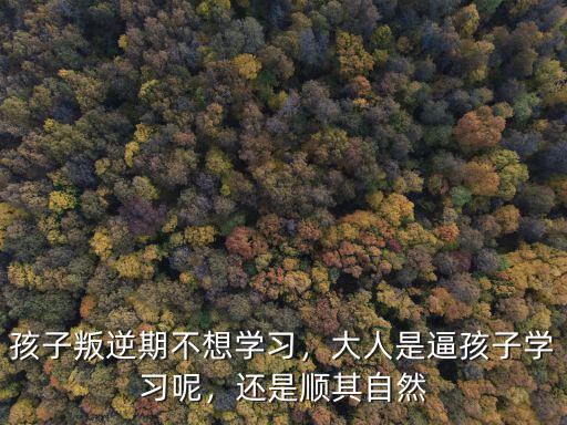 孩子叛逆期不想學習，大人是逼孩子學習呢，還是順其自然