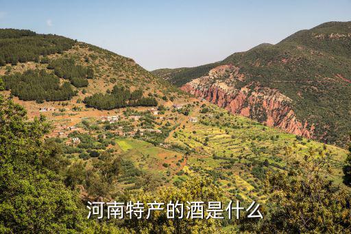 河南名酒是怎么酒,河南特產(chǎn)的酒是什么