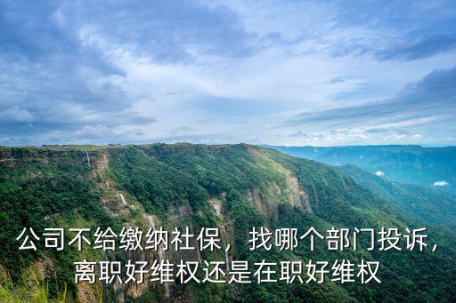 成都公司不買社保在哪里投訴,公司不給繳納社保