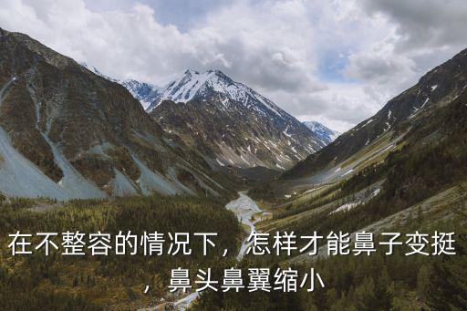 在不整容的情況下，怎樣才能鼻子變挺，鼻頭鼻翼縮小