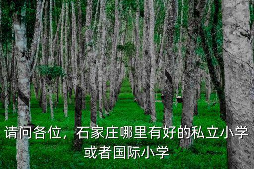 石家莊私立小學的費用是多少,石家莊私立小學轉(zhuǎn)公