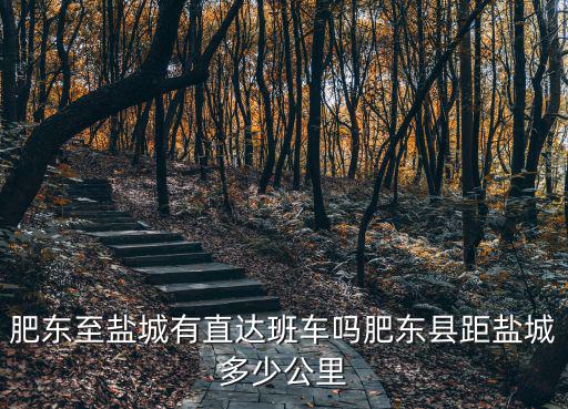 合肥離鹽城多少公里數,肥東縣距鹽城多少公里