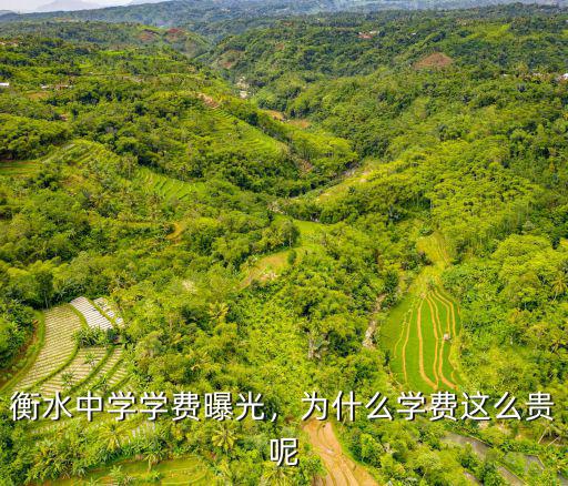 衡水信都中學(xué)學(xué)費(fèi)多少,衡水中學(xué)學(xué)費(fèi)曝光