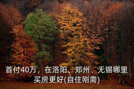 首付40萬，在洛陽、鄭州、無錫哪里買房更好(自住剛需)
