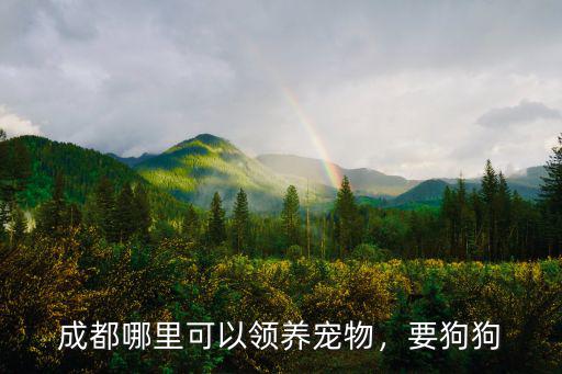 成都哪里可以領(lǐng)養(yǎng)寵物，要狗狗