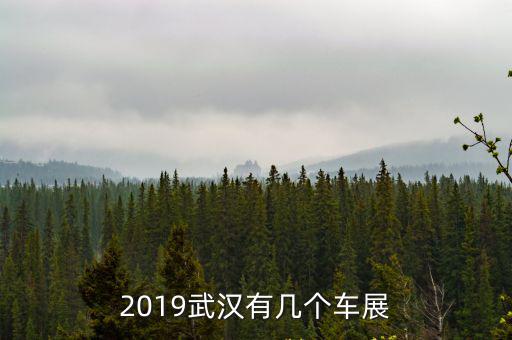 武漢車展怎么這么多,2019武漢有幾個車展