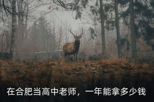 合肥的雅思老師收入是多少,合肥的教師工資大概是多少