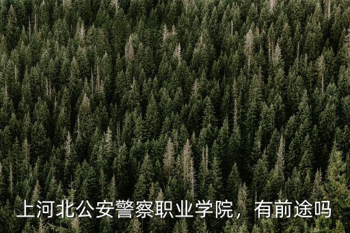 考河北警察職業學院需要多少分,上河北公安警察職業學院