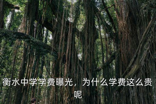 衡水中學學費曝光，為什么學費這么貴呢
