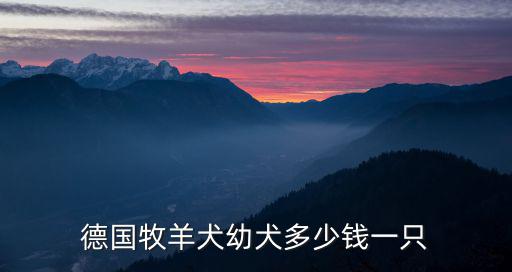 德國牧羊犬幼犬多少錢一只