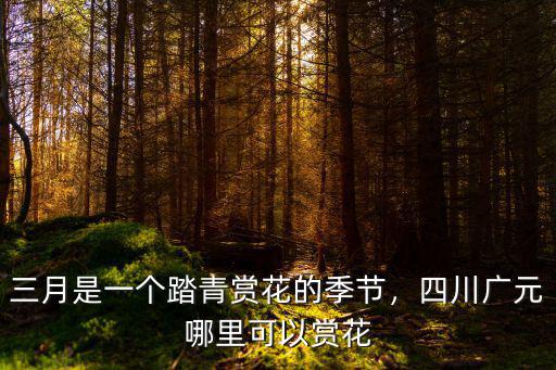 三月是一個踏青賞花的季節，四川廣元哪里可以賞花
