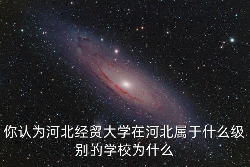 你認為河北經貿大學在河北屬于什么級別的學校為什么