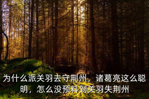 為什么派關羽去守荊州，諸葛亮這么聰明，怎么沒預料到關羽失荊州