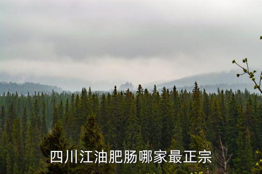 四川哪里的肥腸最有名,你覺得哪里的肥腸最好吃