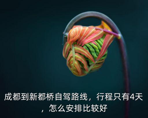 成都到新都橋在哪里買票,成都到新都橋自駕路線