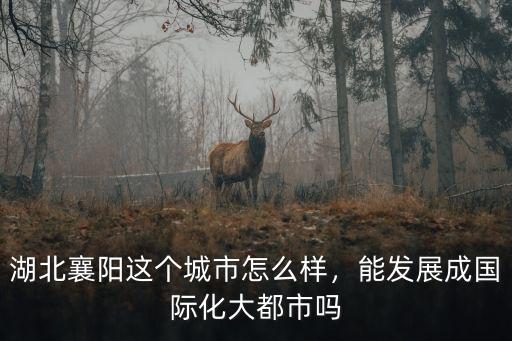 湖北襄陽這個城市怎么樣，能發展成國際化大都市嗎