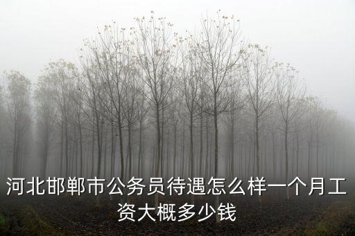 邯鄲市女白領工資多少,一個月工資大概多少錢
