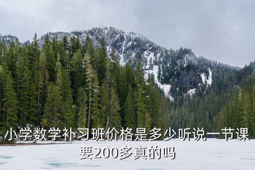 安徽廬江小學補習班費用多少,孩子上小學二年級