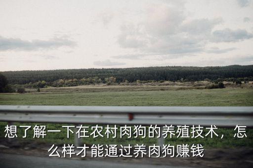新鄉哪里有養殖肉狗的,養殖肉狗有哪些比較好的建議