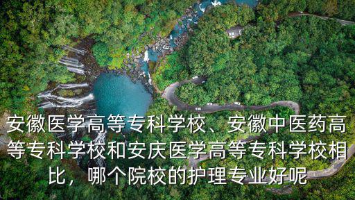 安徽醫學高等專科學校教授工資多少,安徽醫學高等專科學校怎么樣